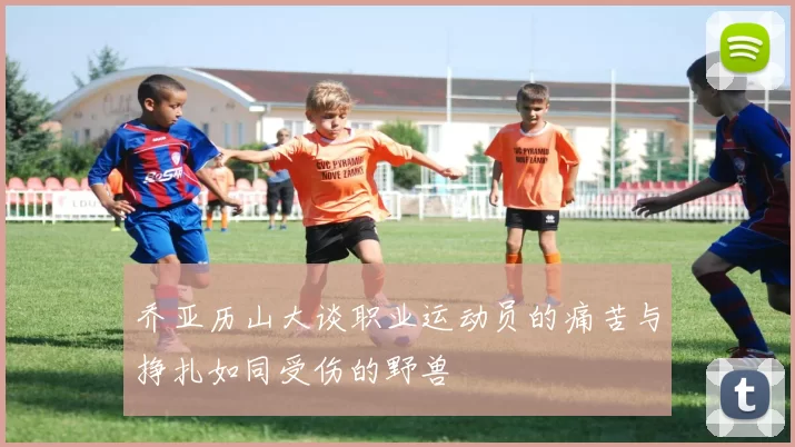 乔亚历山大谈职业运动员的痛苦与挣扎如同受伤的野兽