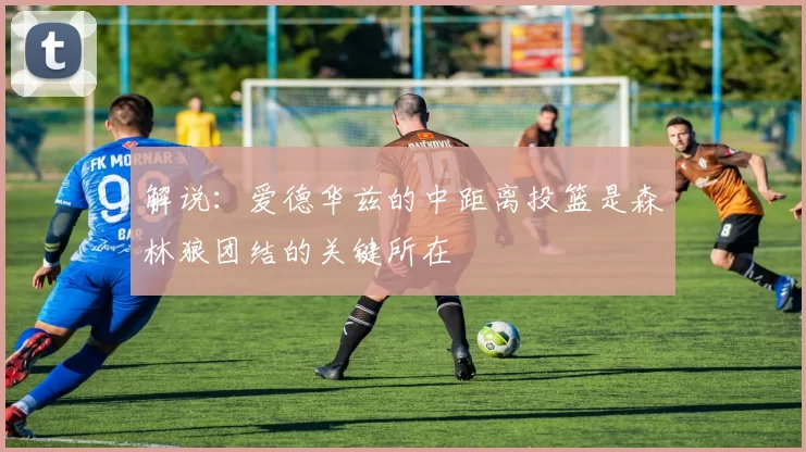 解说：爱德华兹的中距离投篮是森林狼团结的关键所在